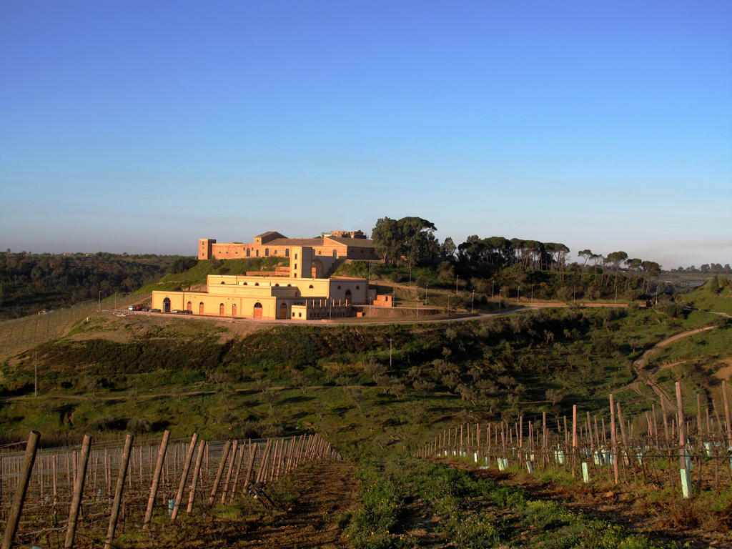 فيلا Wine Relais Feudi Del Pisciotto Niscemi المظهر الخارجي الصورة